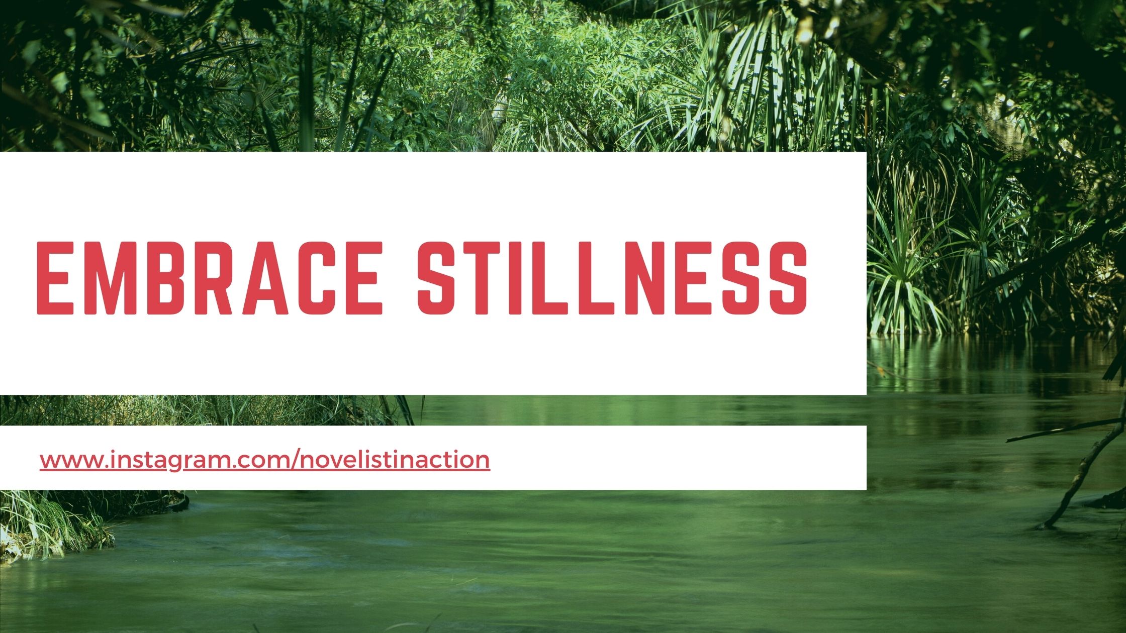 Stillness vs Movement